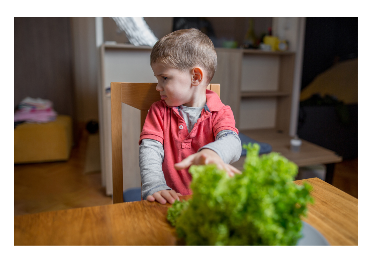 子どもが興味を示さない時に使える ㊙３つの裏技テクニック☆